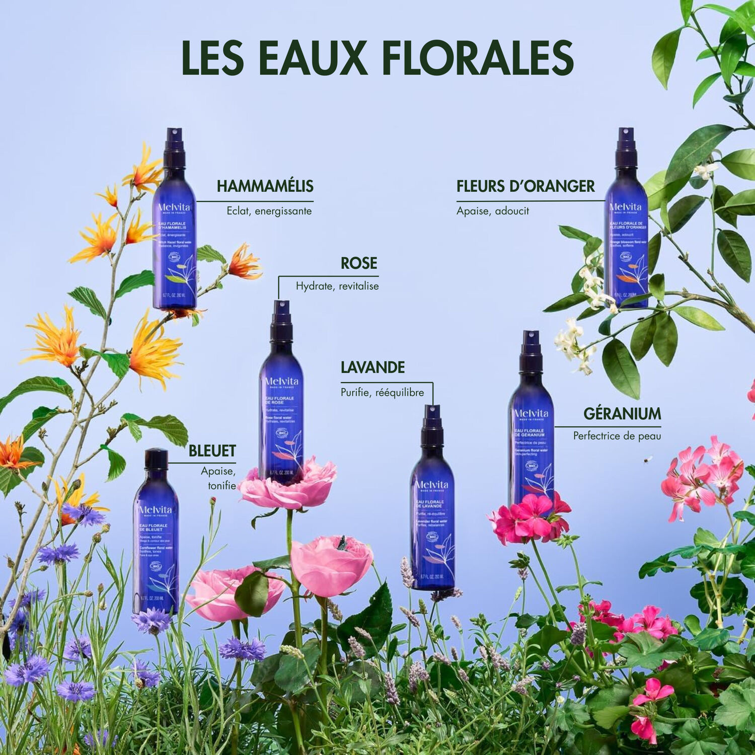 Eau Florale de Rose - Hydrate et Raffraîchit 200 ml