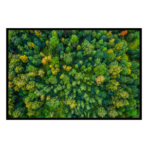 Affiche encadrée – Vue aérienne de forêt luxuriante Affiche + cadre en métal - Noir