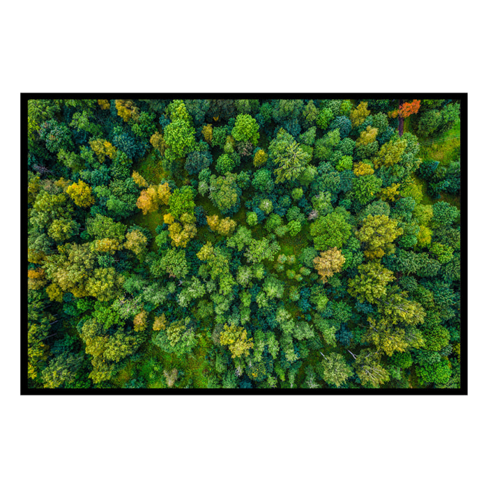 Affiche encadrée – Vue aérienne de forêt luxuriante Affiche + cadre en métal - Noir