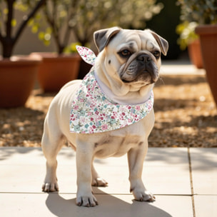 Pack de 2 bandanas pour animaux 0120-52