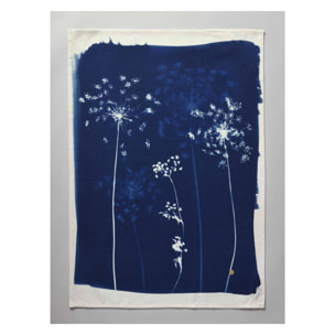 Torchon Fleurs de carotte