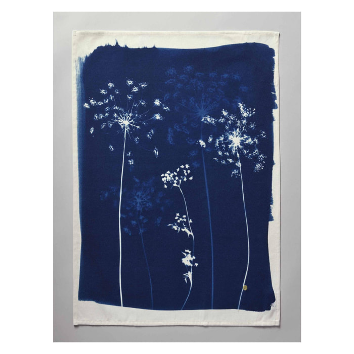 Torchon Fleurs de carotte