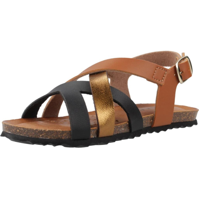 Sandalias Niña de la marca GEOX  modelo J SANDAL CHILENE GIR MARRON