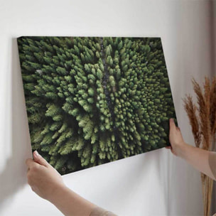 Tableau forêt vue aérienne apaisante Toile imprimée