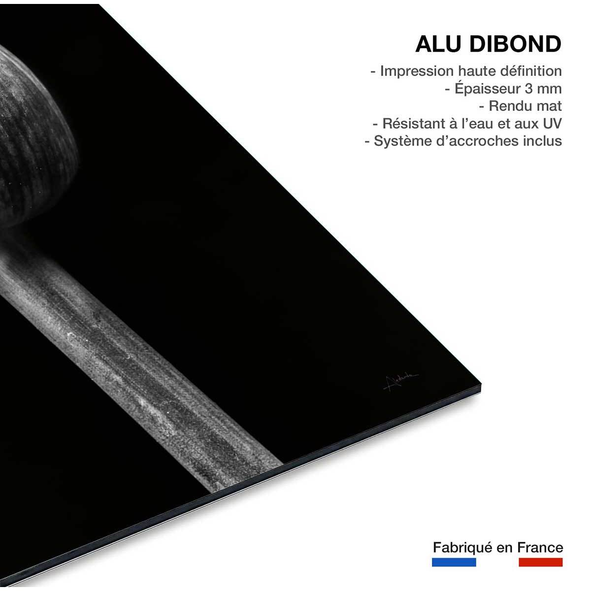 Cadre deco fleurs Spring Palm Tableau alu Dibond