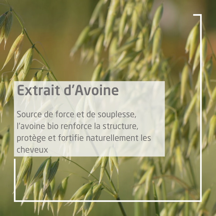 WELEDA - Duo Shampooing régénérant Avoine - Lisse et fortifie les cheveux - Vegan* - Certifié Natrue** - Flacon 190 ml x 2