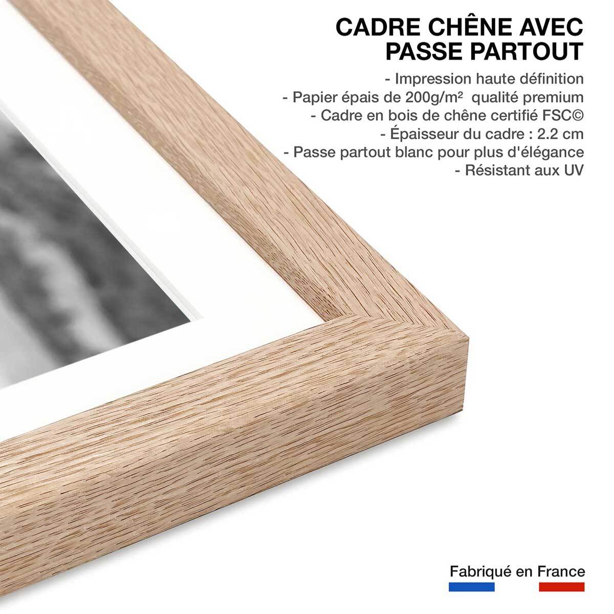 Affiche Mère éléphant Affiche + cadre en bois - Chêne
