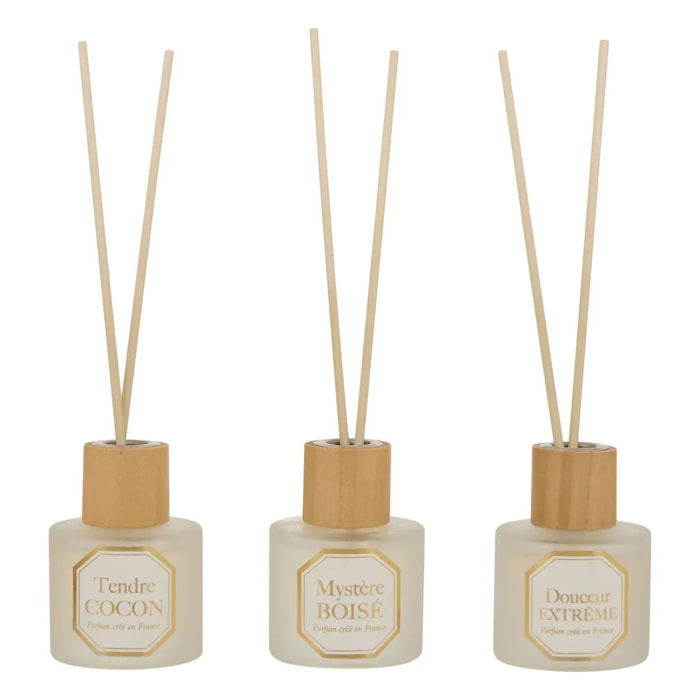 Coffret diffuseurs Elisa 20x5cm
