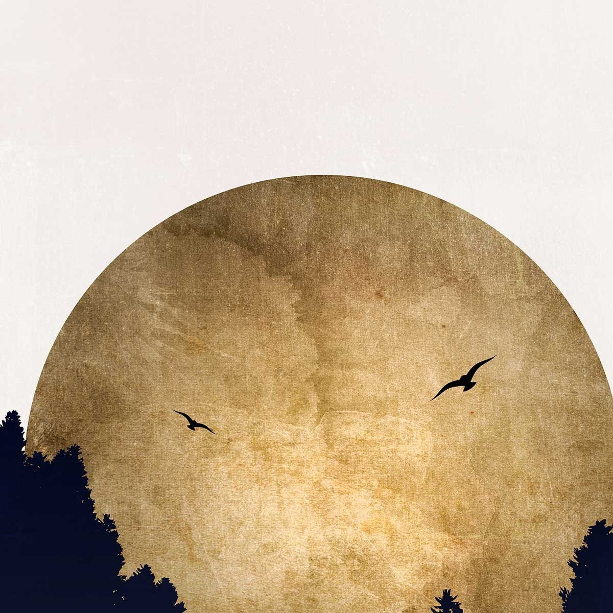 Poster crepuscule doré Affiche + cadre en bois - Chêne