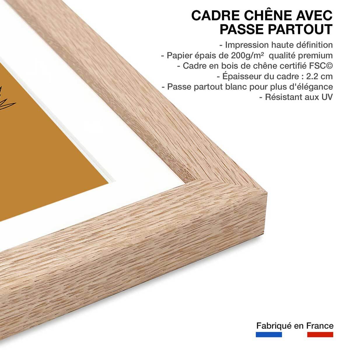 Affiche illustration lama et cactus Affiche sous cadre bois