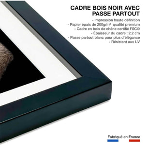 Affiche enfant repas de paresseux  Affiche sous cadre noir