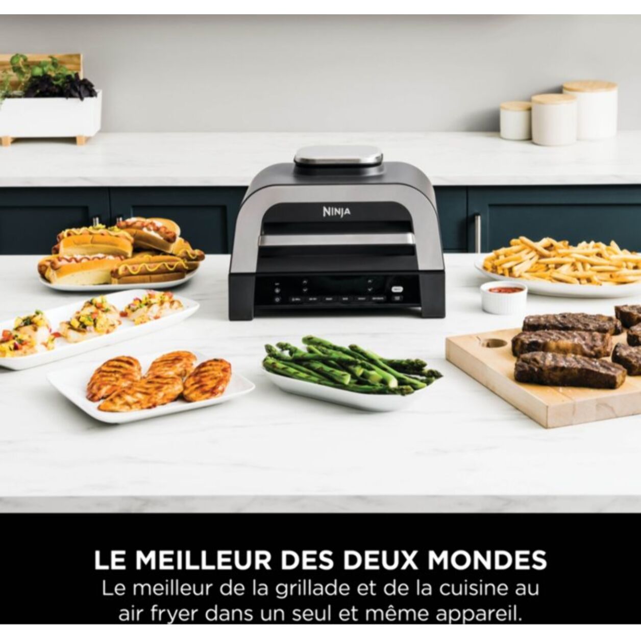 Grille-viande NINJA Foodi DG551EU thermosonde à poser, 40x27 cm