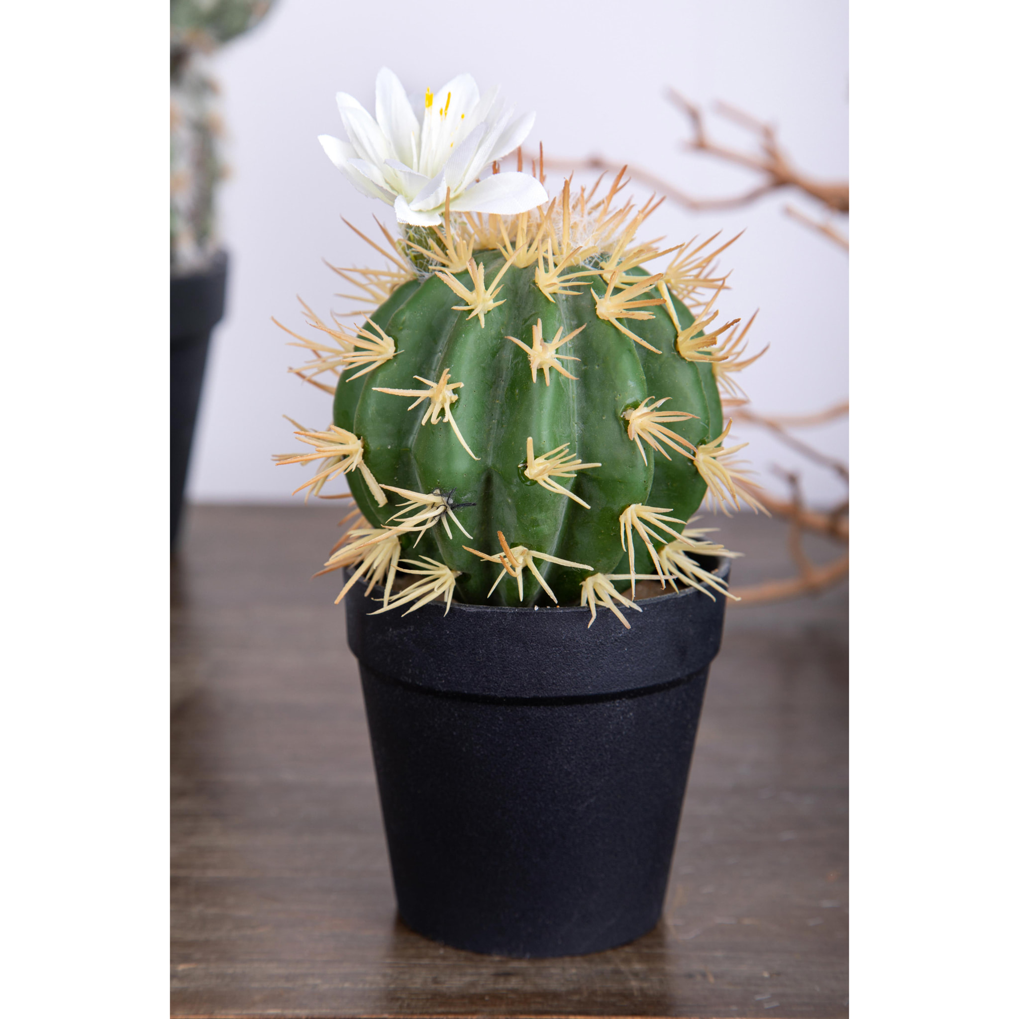 Cactus Con Fiori In Vaso. Altezza 19 Cm - Pezzi 4 - 9,5X19X9,5cm - Colore: Bianco - Bianchi Dino - Piante Artificiali