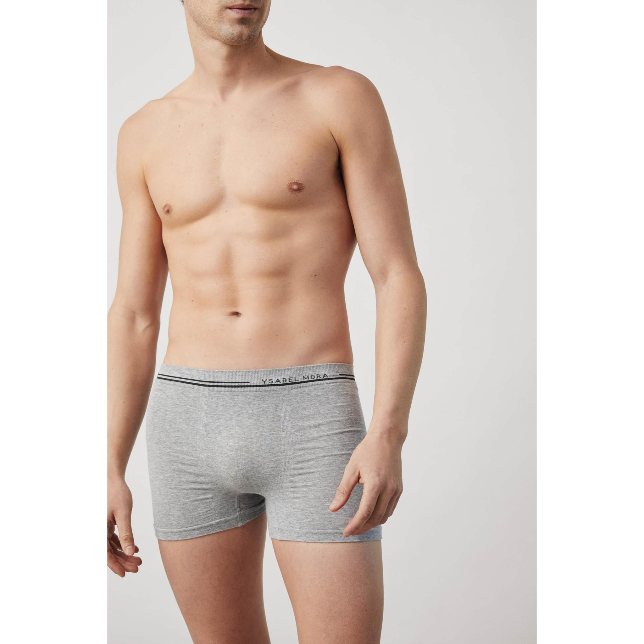 Boxer grigi