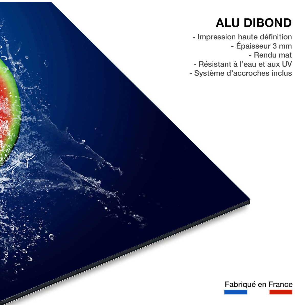 Tableau cuisine mix de fruits Tableau alu Dibond