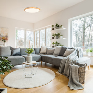 FORLIGHT Plafón Willy LED 19W Blanco Neutro 4000K On-Off Imitación Madera, Blanco Opal Iluminación LED con Toque Natural