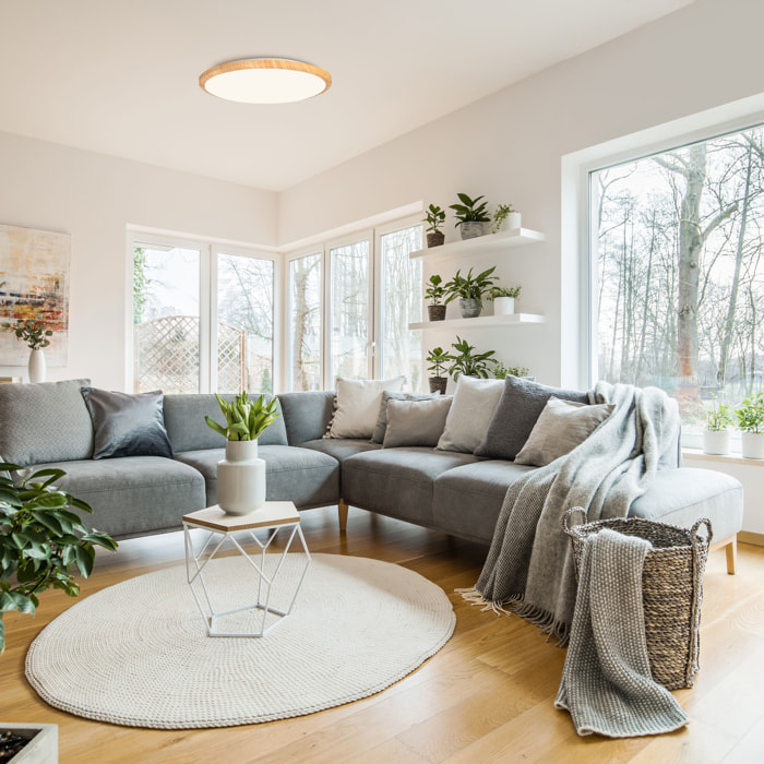 Forlight Plafón Willy LED 19W Blanco Neutro 4000K On-Off Imitación Madera, Blanco Opal Iluminación LED con Toque Natural