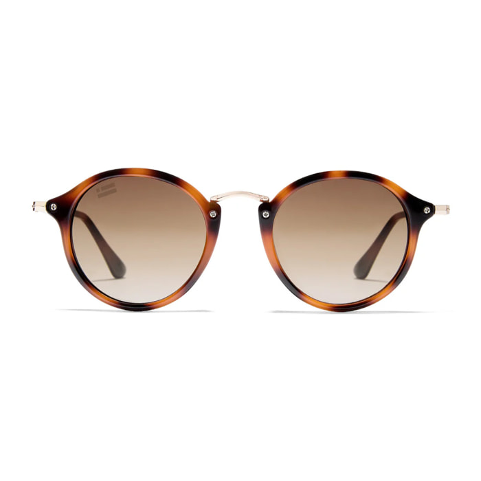 Gafas De Sol D. Franklin Roller TR90