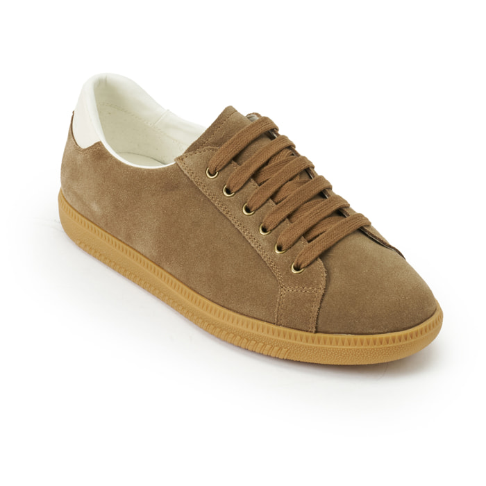 Sneaker British Passport Marrone