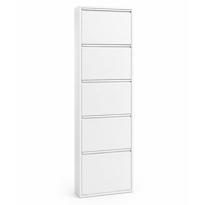 Scarpiera Slim In Metallo 5 Ante A Ribalta Ultra Sottile Salvaspazio Mobile Portascarpe Moderno Ingresso Camera Corridoio 172 x 50 x 15 Cm Bianco