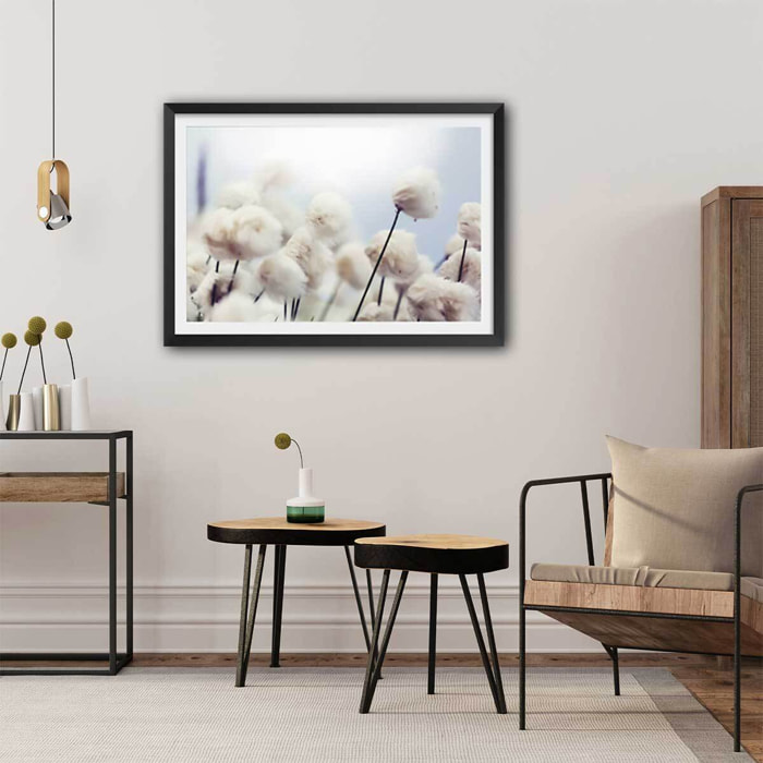 Affiche fleurs de coton au vent Affiche sous cadre noir