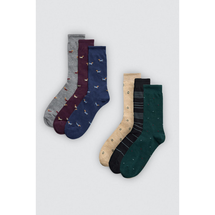 Confezione da 6 calzini alti stampati