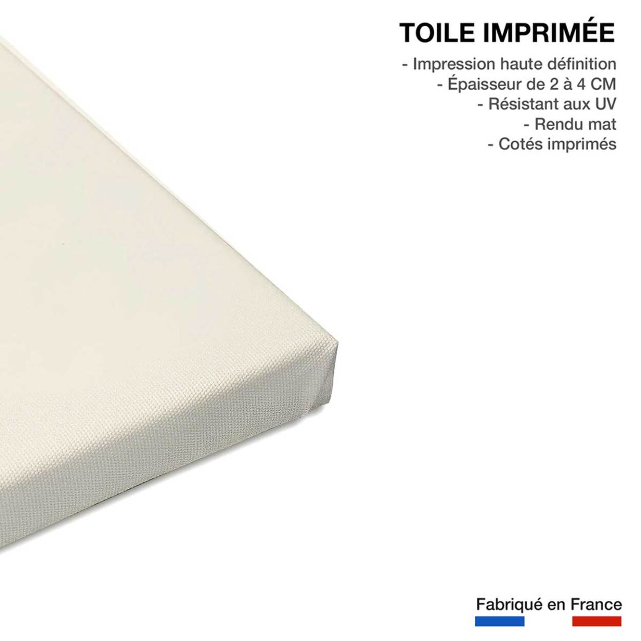 Tableau black fougères Toile imprimée