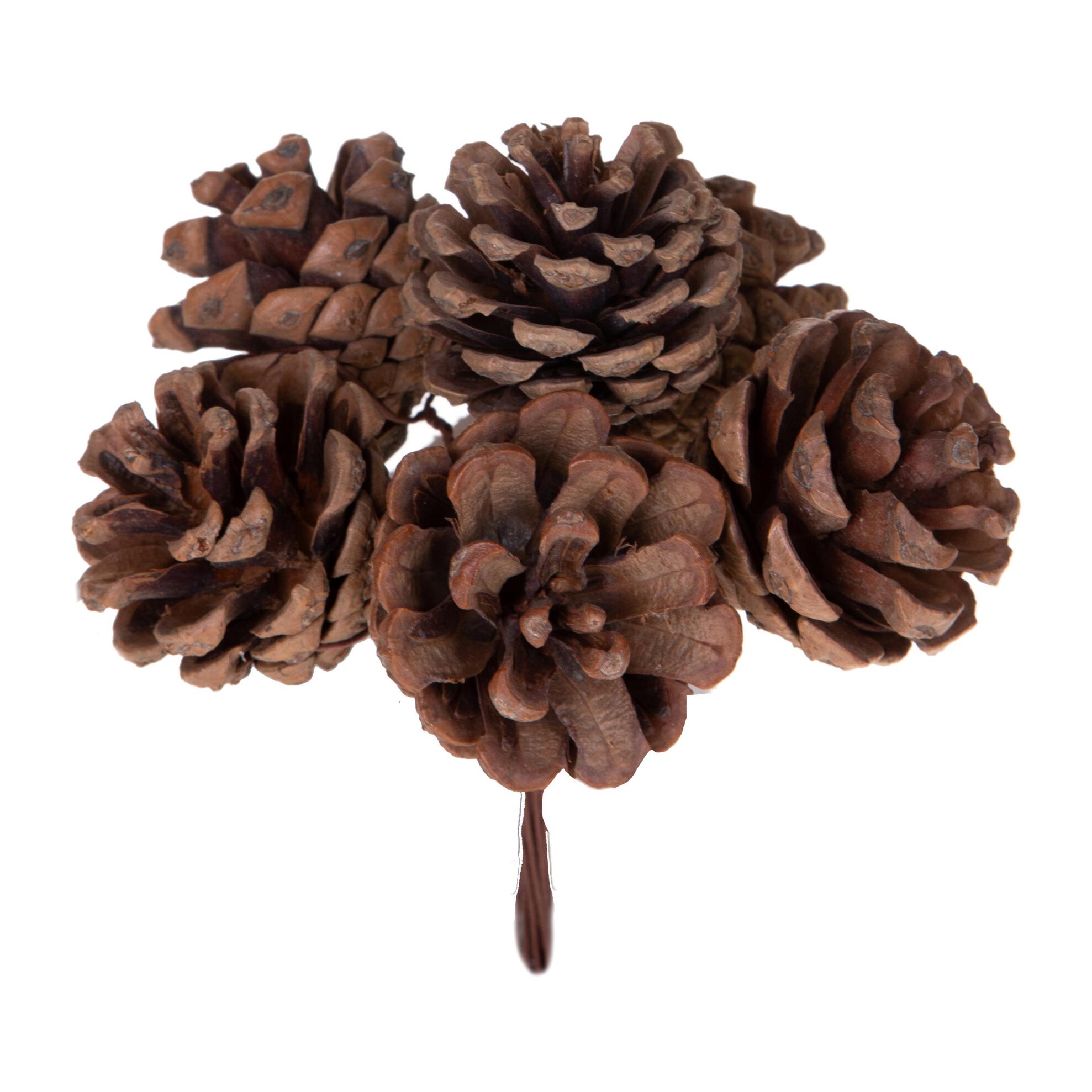 Pick natale - Pezzi 24 - 8xH13x6cm - Bianchi Dino SpA