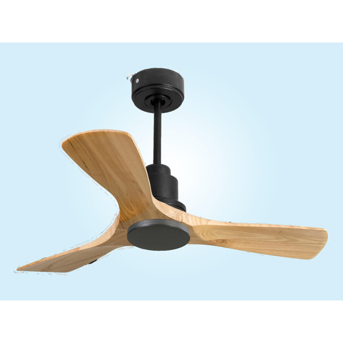 Ventilateur de plafond Réversible  Thermostat Wifi Moteur à courant continu Toits en pente Télécommande Hypersilence Mémoire