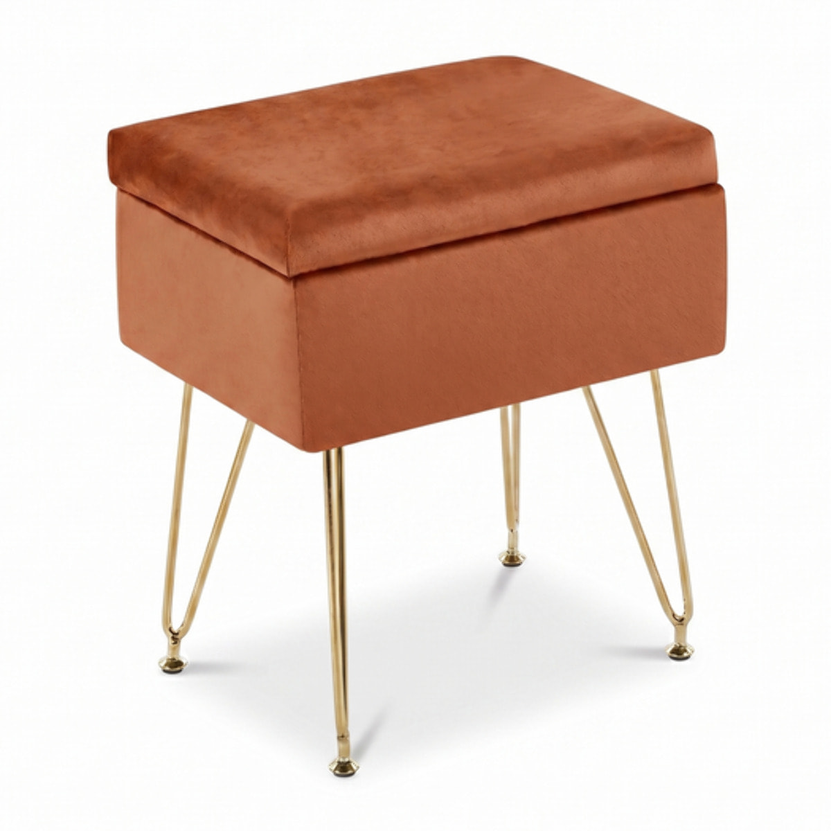 Panca Contenitore in Effetto Velluto con Seduta Imbottita e Vano Portaoggetti, Design Moderno con Gambe in Acciaio per Ingresso, Camera da Letto e Soggiorno