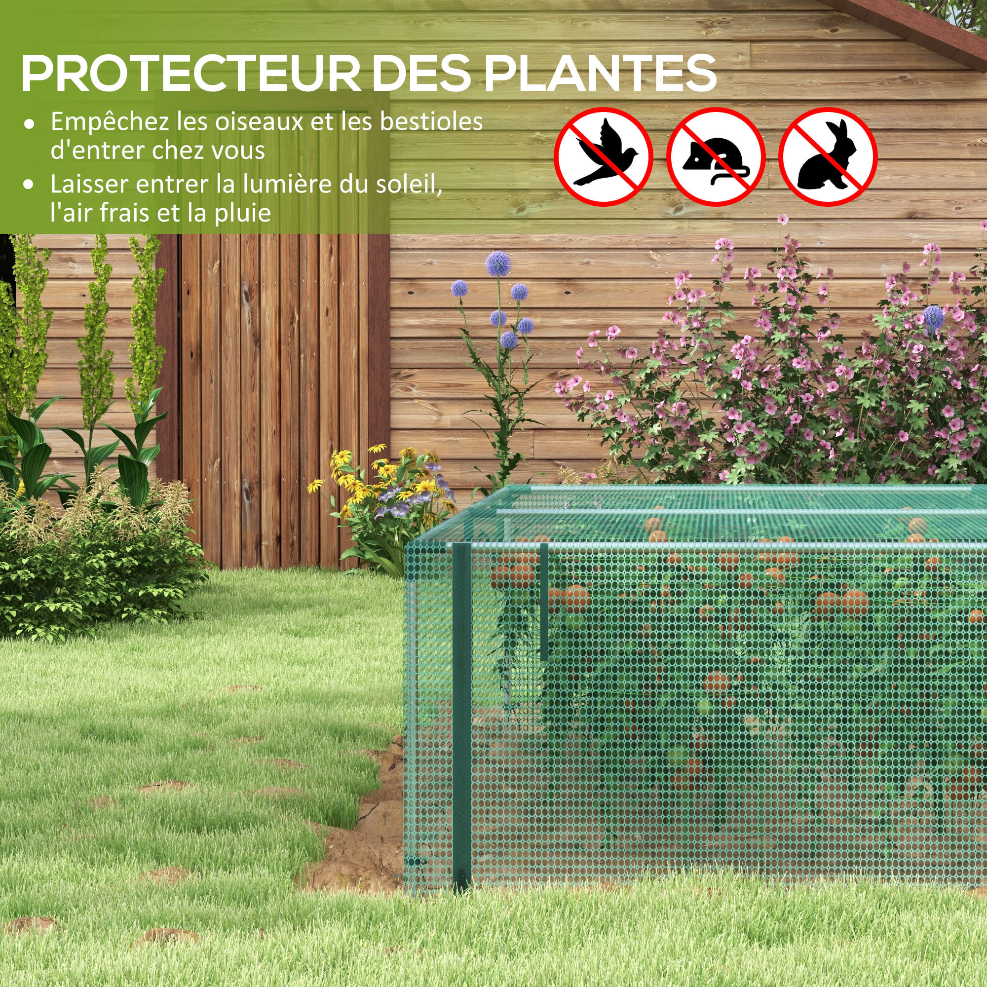 Serre de jardin serre à tomates filet protection porte HDPE vert