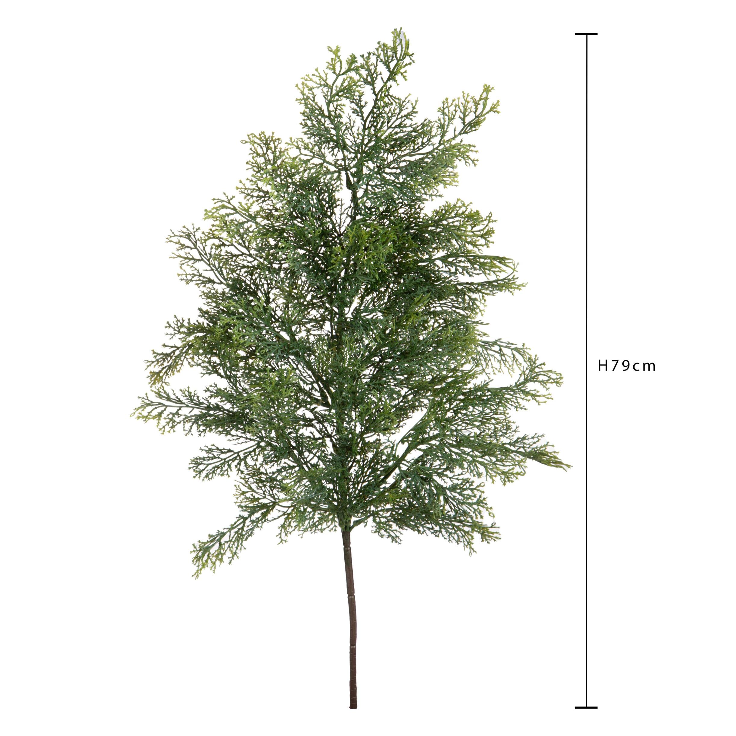 Ramo cedro - Pezzi 12 - 22xH79x21cm - Bianchi Dino SpA