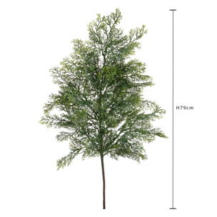 Ramo cedro - Pezzi 12 - 22xH79x21cm - Bianchi Dino SpA