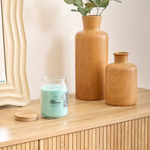 Bougie parfumée 435 g Viky jardin d'eucalyptus