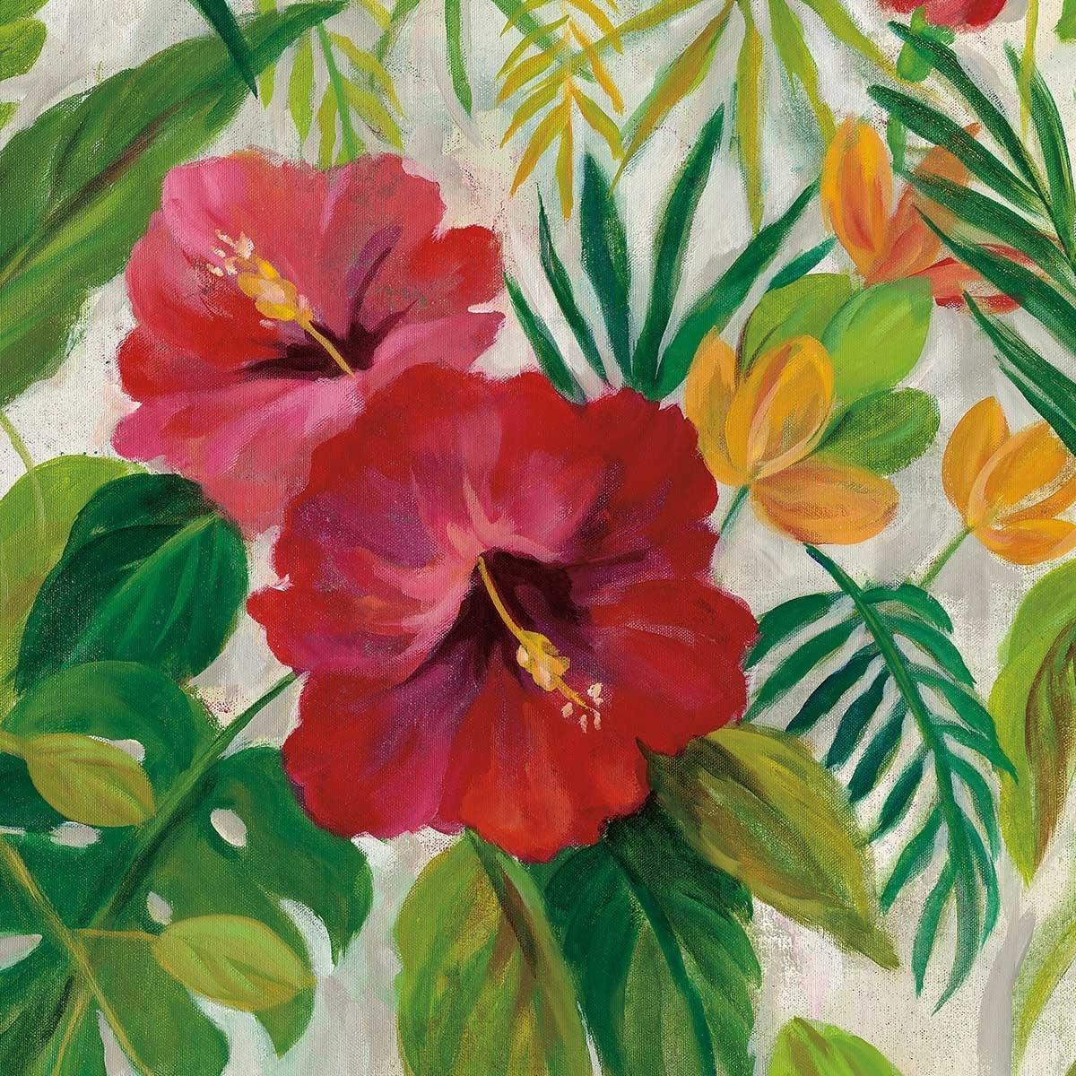 Poster Hibiscus des tropiques Affiche sous cadre noir
