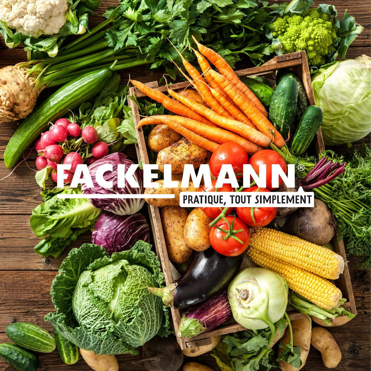 Râpe à légumes 5 grilles inox 19 cm Fackelmann