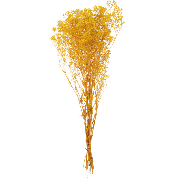 J-Line fleur artificielle Bouquet Gypsophile Seché - rotin - jaune