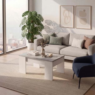 Mesa de centro elevable con almacenaje en blanco artick y gris cemento 100x45-56 cm Vita Blanco Artik (Blanco Mate) - Gris Cemento