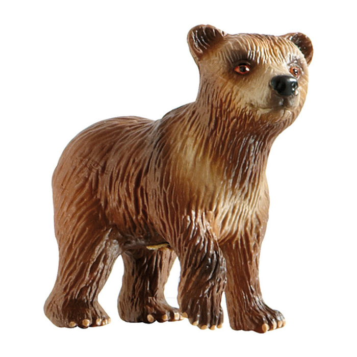 Animali della Foresta/Cucciolo di Orso Bruno