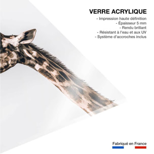 Tableau animaux prendre de la hauteur Tableau plexiglas