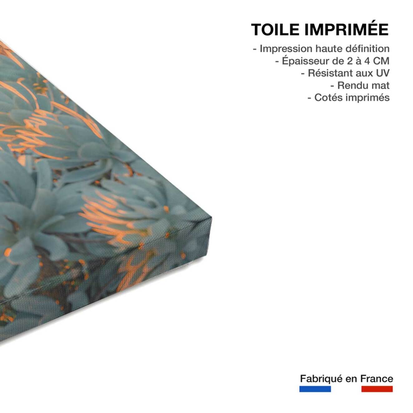 Tableau décorative maison sur laguna beach  Toile imprimée