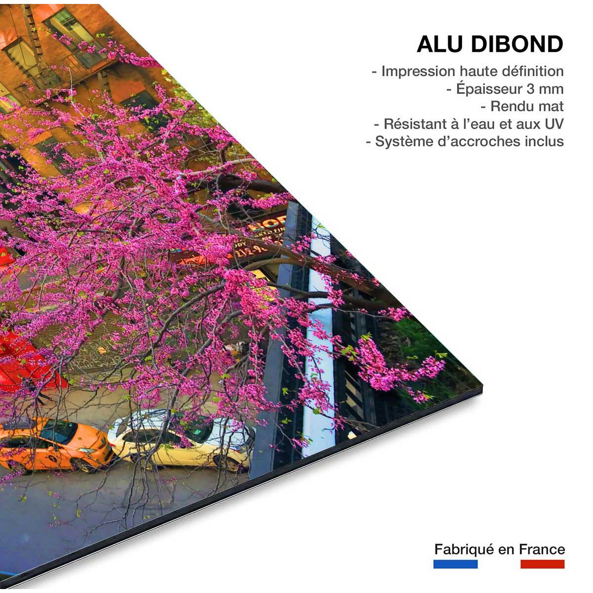 Tableau new york street art in manhattan Tableau alu Dibond