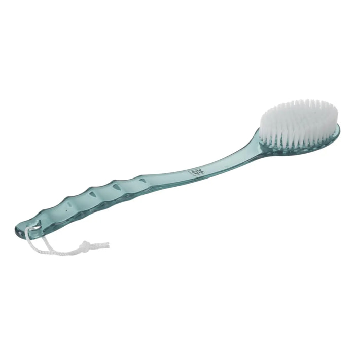 Brosse à dos plastique