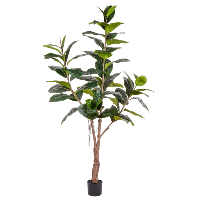 Ficus Rubber Con 65 Foglie. Altezza 180 Cm - Pezzi 1 - 35X180X35cm - Colore: Verde - Bianchi Dino - Piante Artificiali