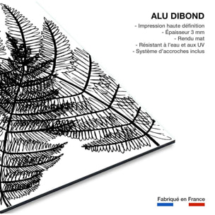Tableau landes fougères Tableau alu Dibond