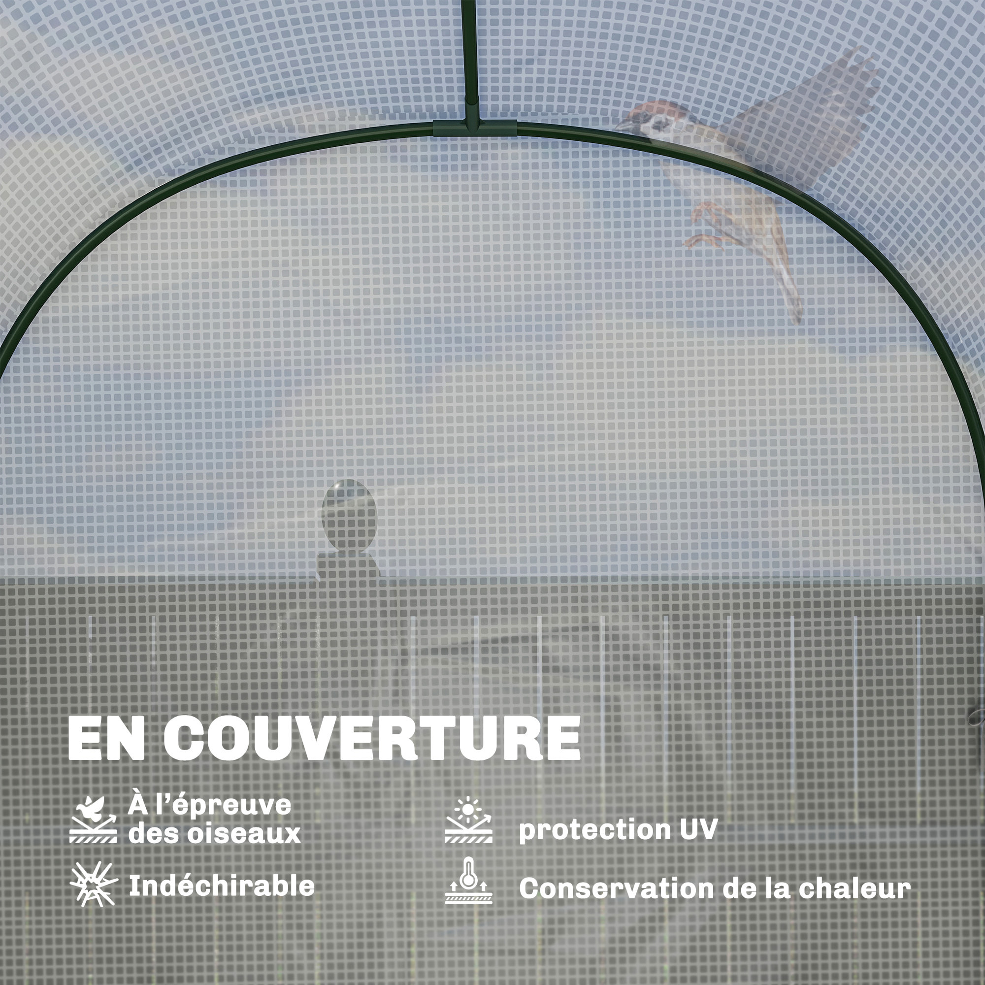 Serre de jardin avec étagères porte enroulable PE blanc