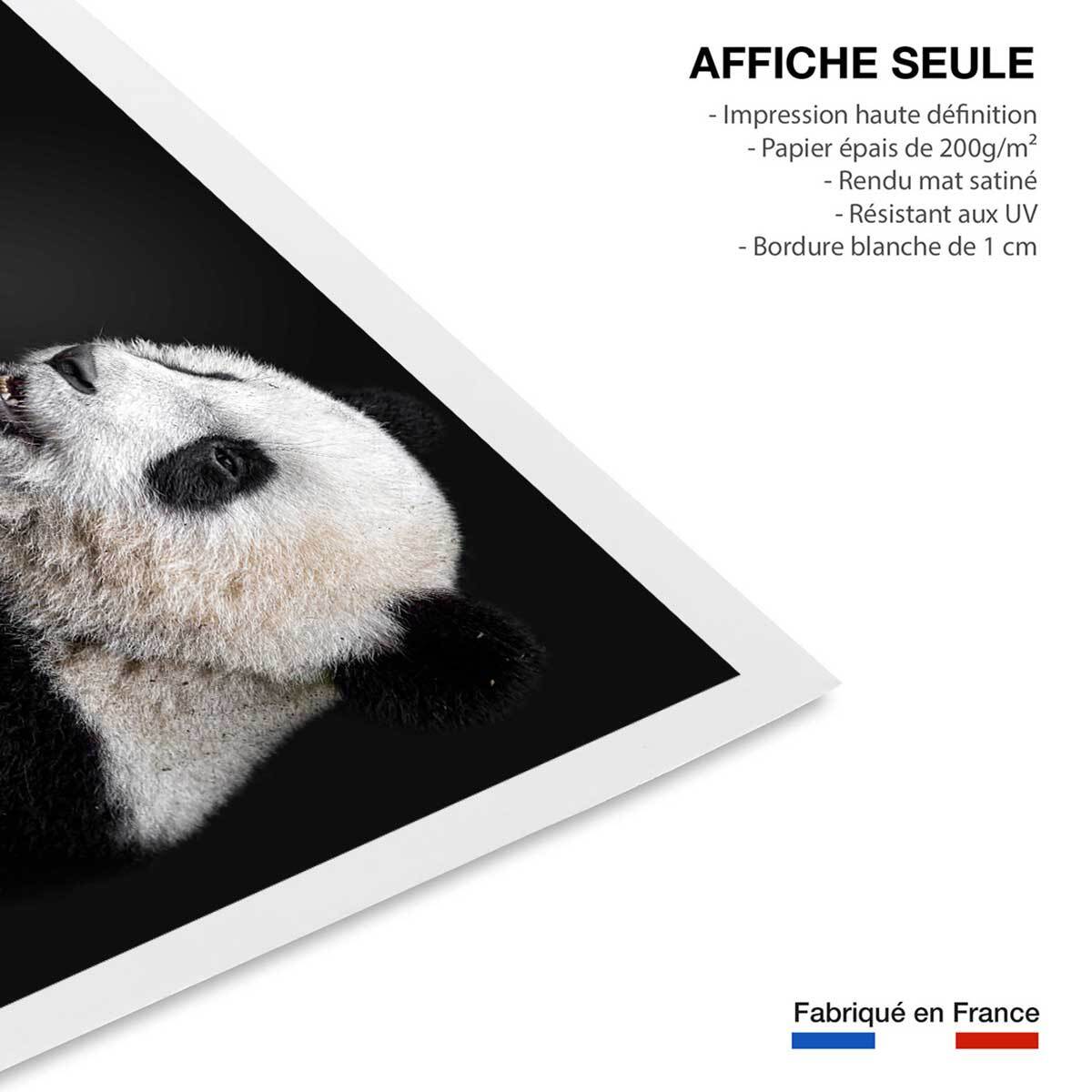 Affiche enfant pandas  Affiche seule