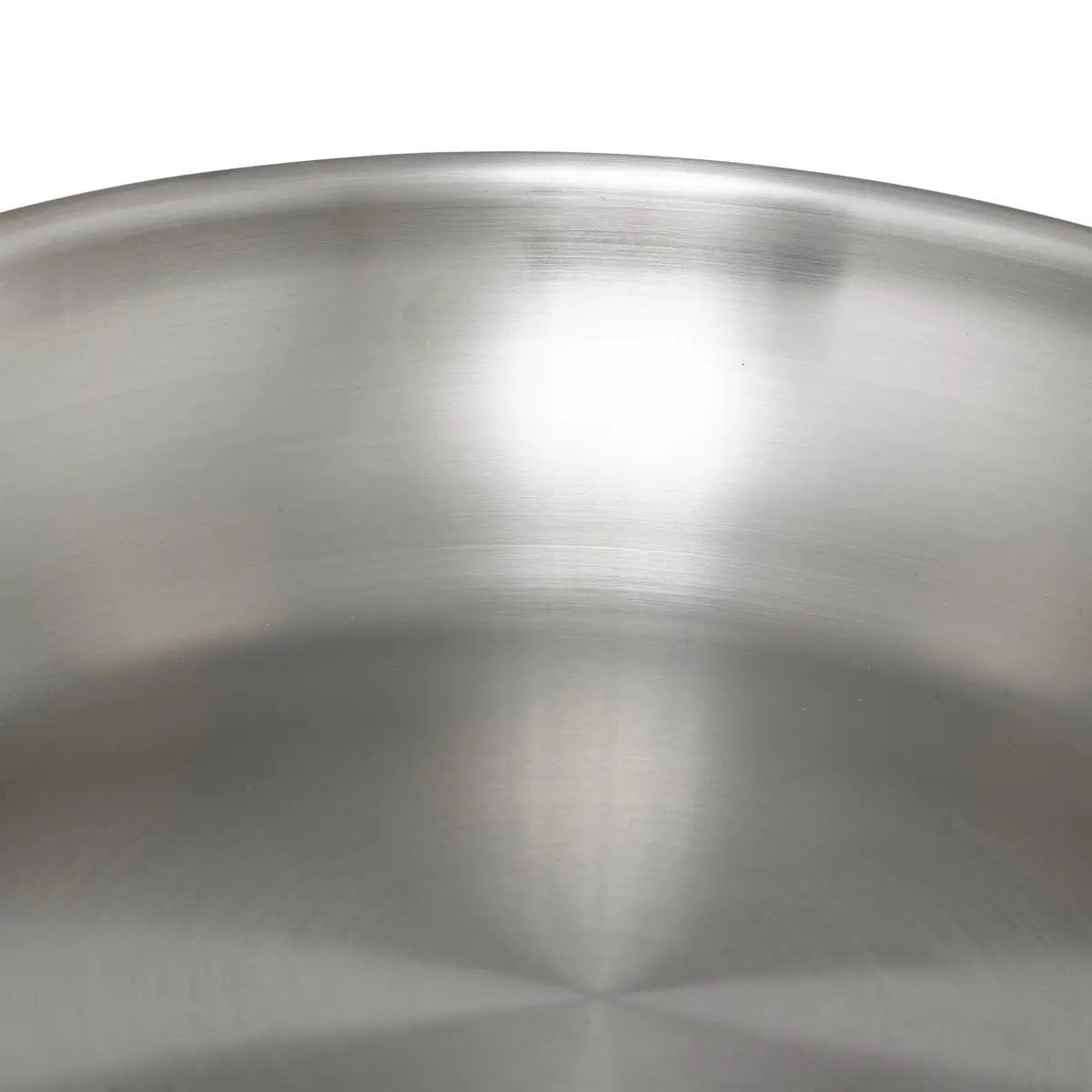 Poêle Inox 26 cm Resilience