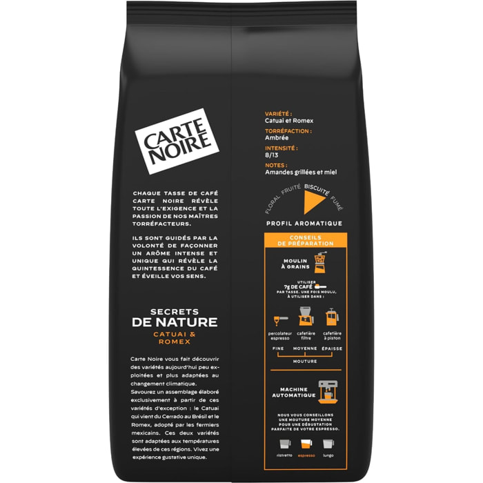 Café Grains Secret de Nature 2 Catuai 1 KG