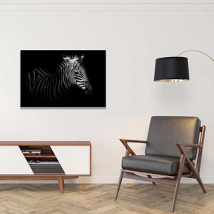 Tableau zebre dans la lumière Toile imprimée